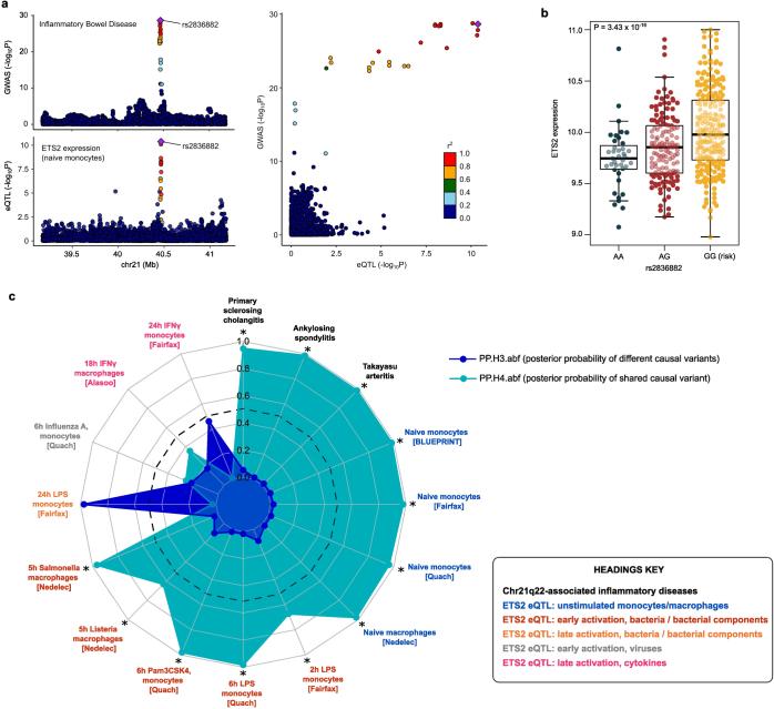 https://cdn.ncbi.nlm.nih.gov/pmc/blobs/147b/11168933/2af6ed22ddb1/41586_2024_7501_Fig6_ESM.jpg