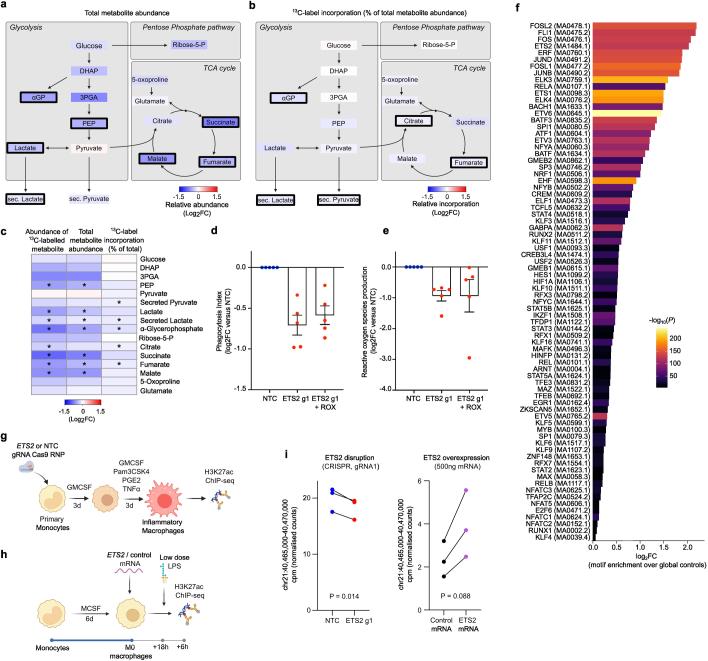 https://cdn.ncbi.nlm.nih.gov/pmc/blobs/147b/11168933/31a2ddc5ceea/41586_2024_7501_Fig12_ESM.jpg