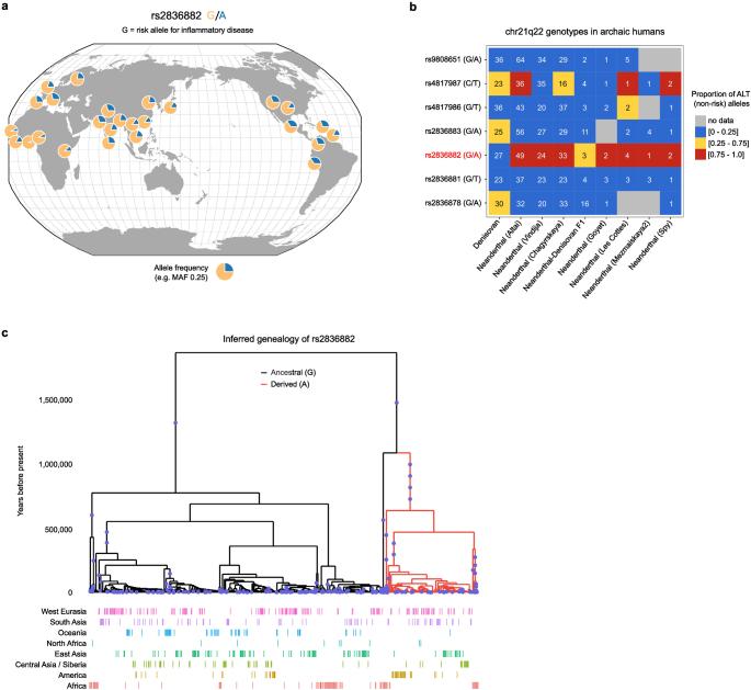 https://cdn.ncbi.nlm.nih.gov/pmc/blobs/147b/11168933/a5c94446b1af/41586_2024_7501_Fig15_ESM.jpg