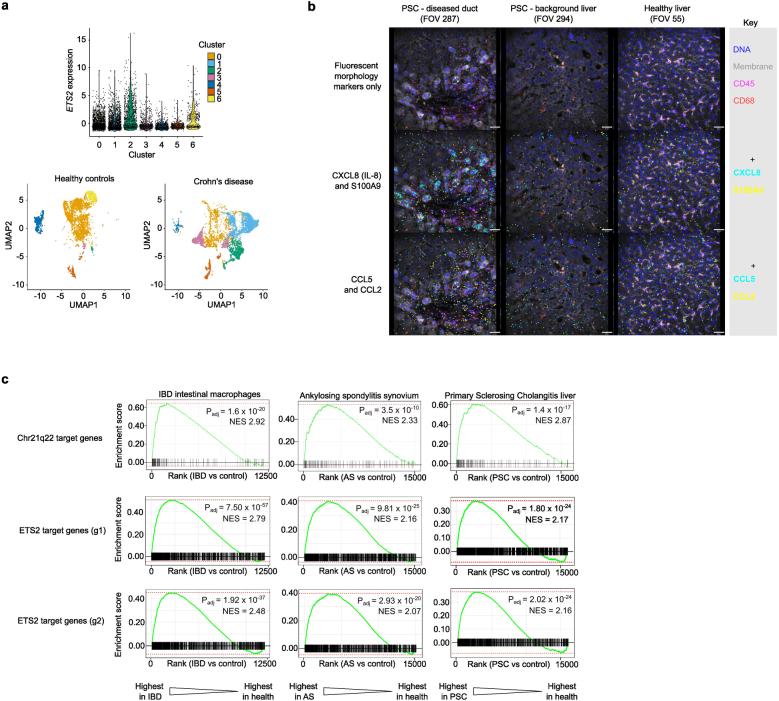 https://cdn.ncbi.nlm.nih.gov/pmc/blobs/147b/11168933/d4e62a34a4e7/41586_2024_7501_Fig13_ESM.jpg
