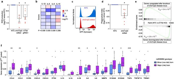 https://cdn.ncbi.nlm.nih.gov/pmc/blobs/147b/11168933/dd317f9ce188/41586_2024_7501_Fig10_ESM.jpg