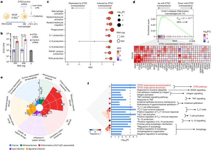https://cdn.ncbi.nlm.nih.gov/pmc/blobs/147b/11168933/e982c2f0e84c/41586_2024_7501_Fig3_HTML.jpg