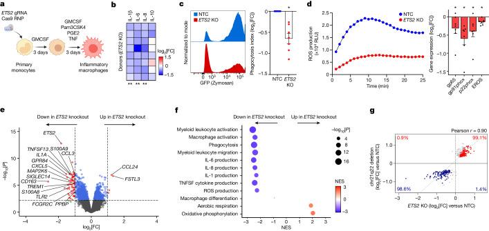 https://cdn.ncbi.nlm.nih.gov/pmc/blobs/147b/11168933/f020a1ab0693/41586_2024_7501_Fig2_HTML.jpg