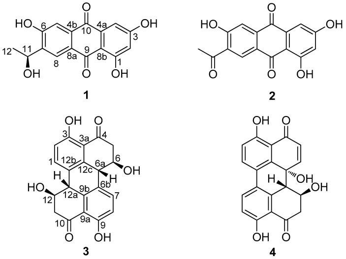 https://cdn.ncbi.nlm.nih.gov/pmc/blobs/147b/5793084/5d1994ec57e1/marinedrugs-16-00036-g004.jpg