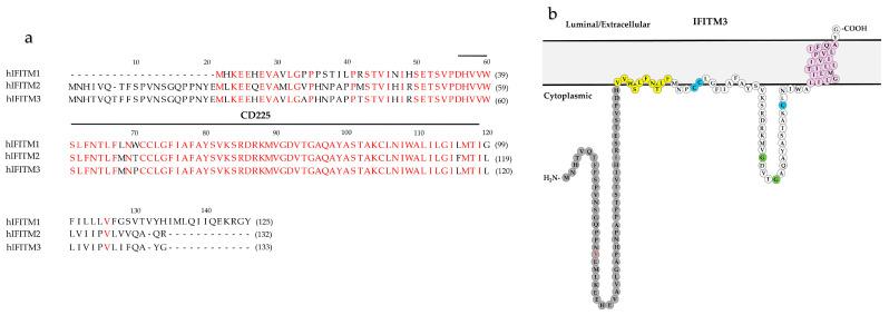 https://cdn.ncbi.nlm.nih.gov/pmc/blobs/1483/11125860/8db5d3e01194/viruses-16-00734-g002.jpg