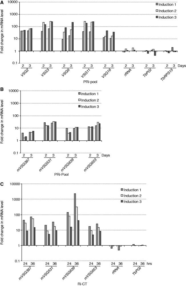 https://cdn.ncbi.nlm.nih.gov/pmc/blobs/1484/3763547/cf19b0ec80f0/gkt562f2p.jpg