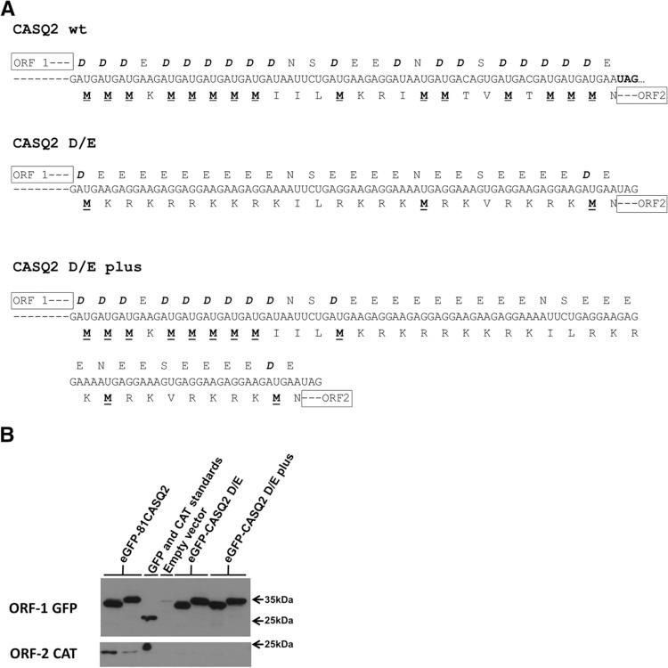 https://cdn.ncbi.nlm.nih.gov/pmc/blobs/1484/3923131/9a3beceb0153/373fig4.jpg