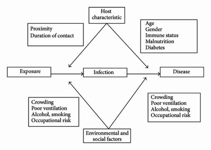 https://cdn.ncbi.nlm.nih.gov/pmc/blobs/1485/11442870/ba0a4258c112/44197_2024_274_Fig1_HTML.jpg