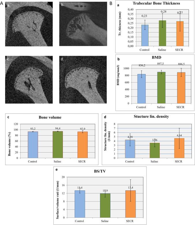 https://cdn.ncbi.nlm.nih.gov/pmc/blobs/1486/10661765/8b93653c9901/12015_2023_10628_Fig5_HTML.jpg
