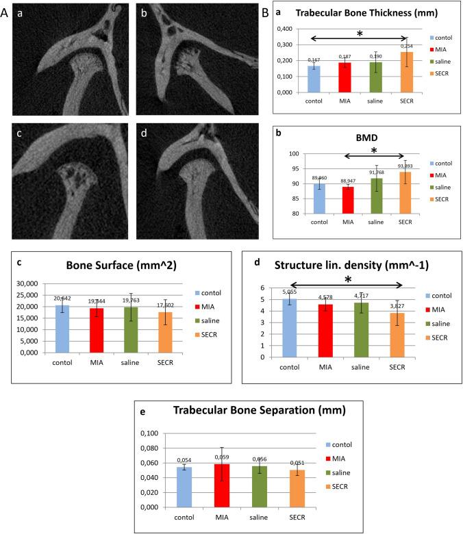 https://cdn.ncbi.nlm.nih.gov/pmc/blobs/1486/10661765/e3ab59c2b8aa/12015_2023_10628_Fig4_HTML.jpg