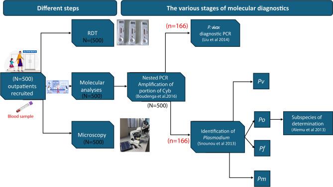 https://cdn.ncbi.nlm.nih.gov/pmc/blobs/1486/11686293/d08944da8ac1/41598_2024_83487_Fig6_HTML.jpg