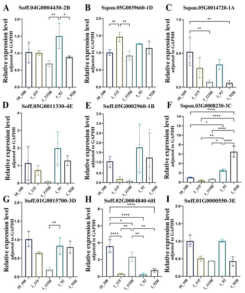 https://cdn.ncbi.nlm.nih.gov/pmc/blobs/1487/11678196/4d671a7f631d/plants-13-03497-g004.jpg