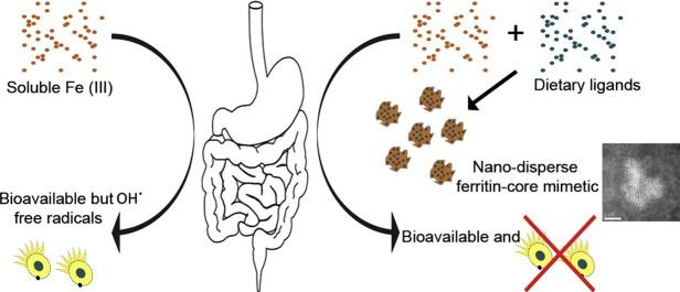 https://cdn.ncbi.nlm.nih.gov/pmc/blobs/1487/4315135/a2b475e02ab8/fx1.jpg
