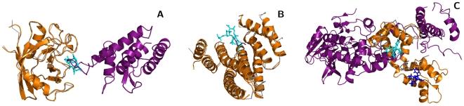 https://cdn.ncbi.nlm.nih.gov/pmc/blobs/1489/2816688/6a09c9e21538/pcbi.1000668.g004.jpg