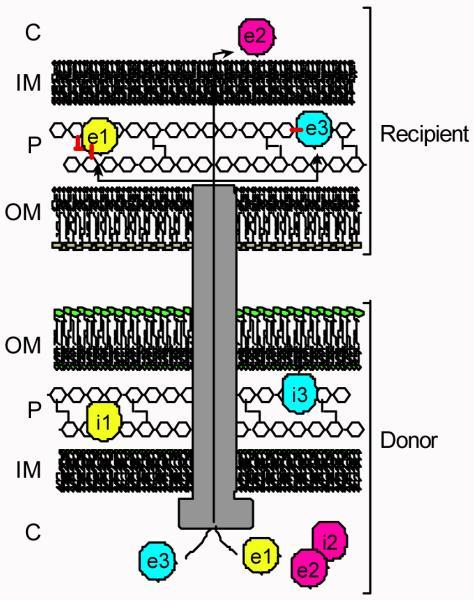 https://cdn.ncbi.nlm.nih.gov/pmc/blobs/1489/3146020/587109ef7e01/nihms-313070-f0005.jpg