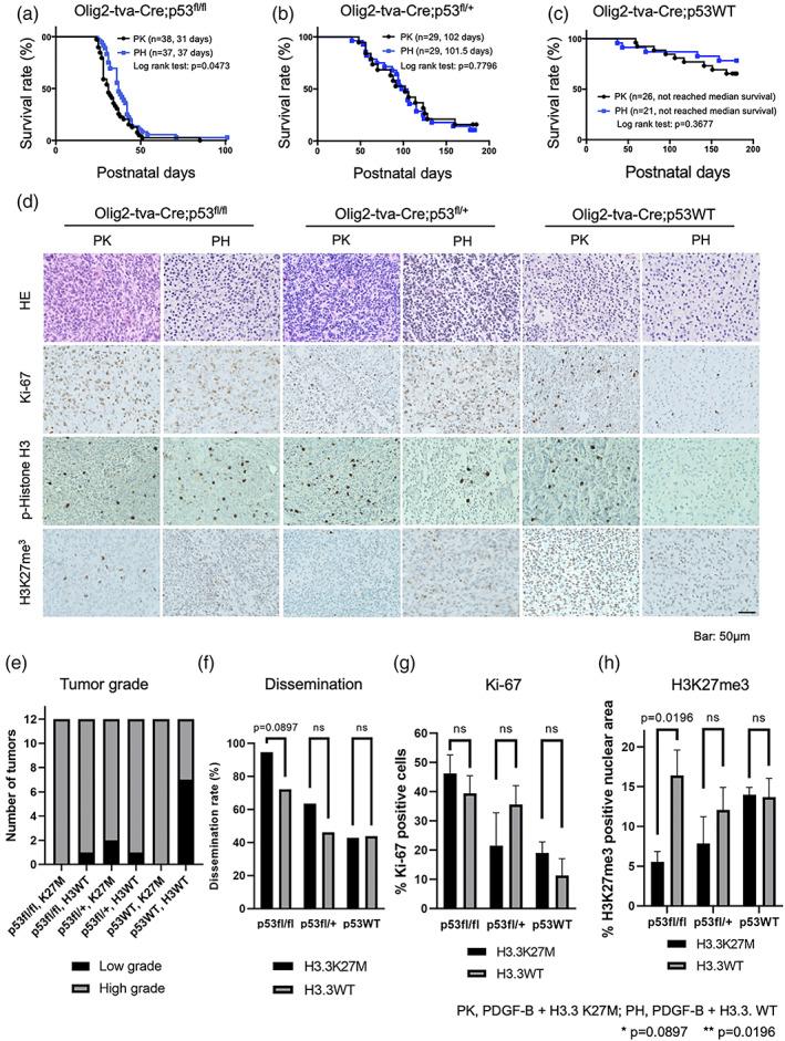 https://cdn.ncbi.nlm.nih.gov/pmc/blobs/148a/9546478/59f7de0f4d6e/GLIA-70-1681-g008.jpg