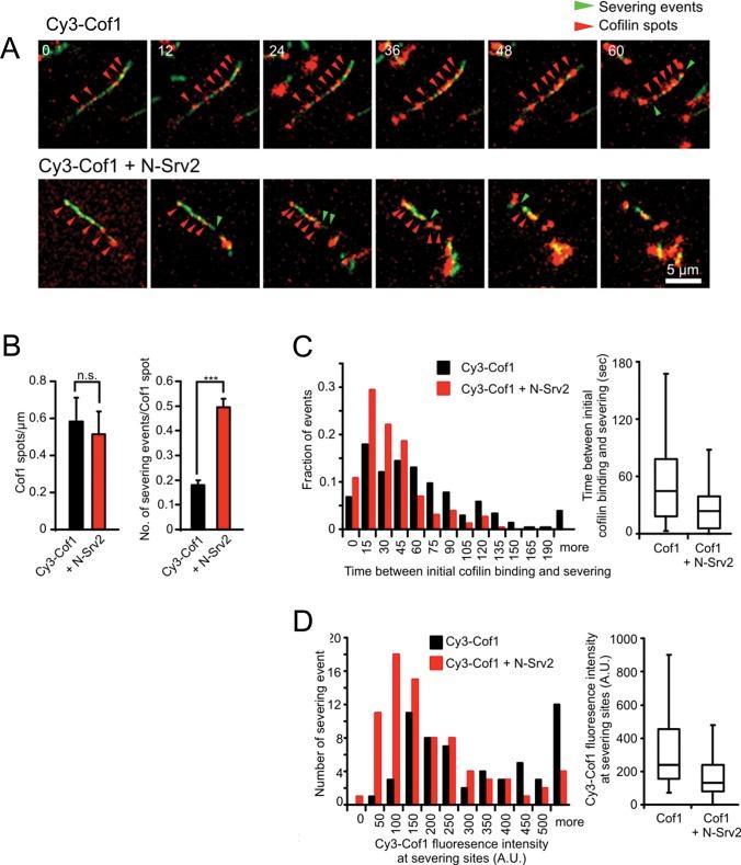 https://cdn.ncbi.nlm.nih.gov/pmc/blobs/148b/3530777/24868eaa1ebe/31fig3.jpg