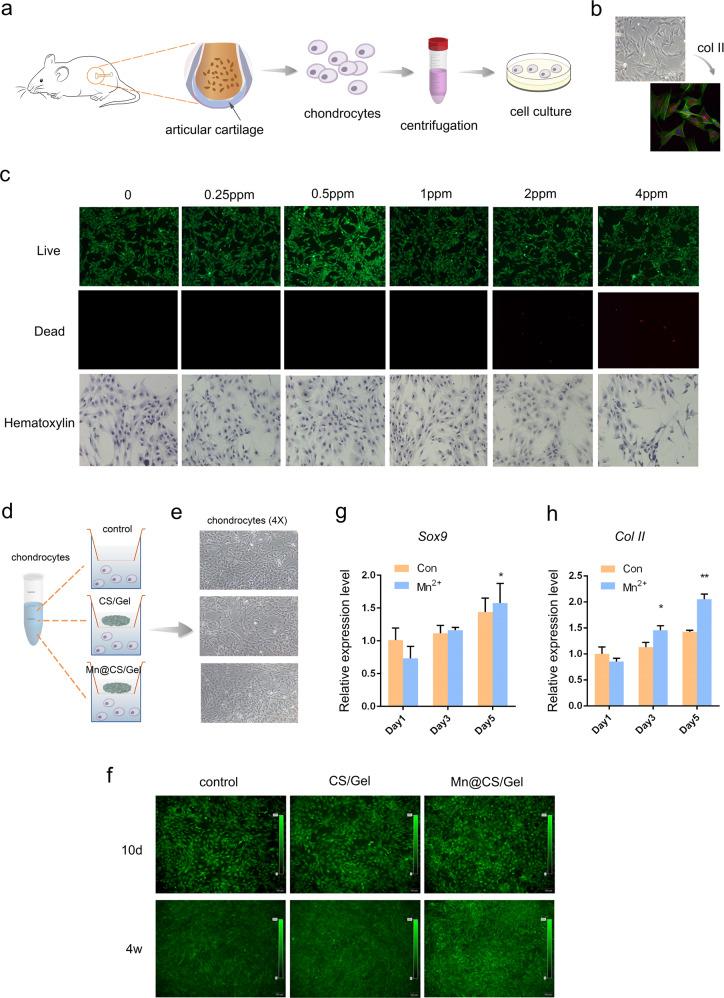 https://cdn.ncbi.nlm.nih.gov/pmc/blobs/148b/9553786/baffc2214c62/10856_2022_6695_Fig2_HTML.jpg