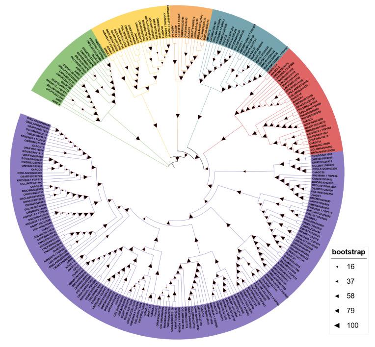 https://cdn.ncbi.nlm.nih.gov/pmc/blobs/148b/9603967/1d901e664915/ijms-23-12557-g001.jpg
