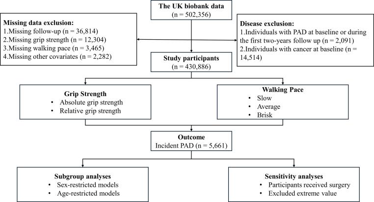 https://cdn.ncbi.nlm.nih.gov/pmc/blobs/148d/11416223/2783390e6240/mmcfigs1.jpg