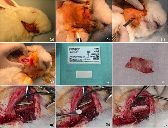 https://cdn.ncbi.nlm.nih.gov/pmc/blobs/148e/9760144/1a1b5a635324/CRE2-8-1331-g004.jpg