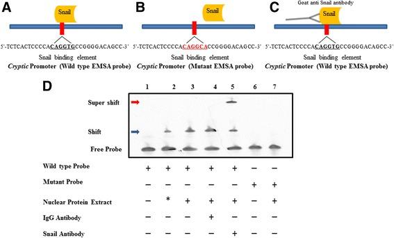https://cdn.ncbi.nlm.nih.gov/pmc/blobs/148f/5084438/2d59dea4fc50/12861_2016_141_Fig4_HTML.jpg