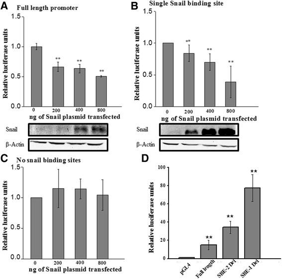 https://cdn.ncbi.nlm.nih.gov/pmc/blobs/148f/5084438/61e7ffc703bb/12861_2016_141_Fig2_HTML.jpg