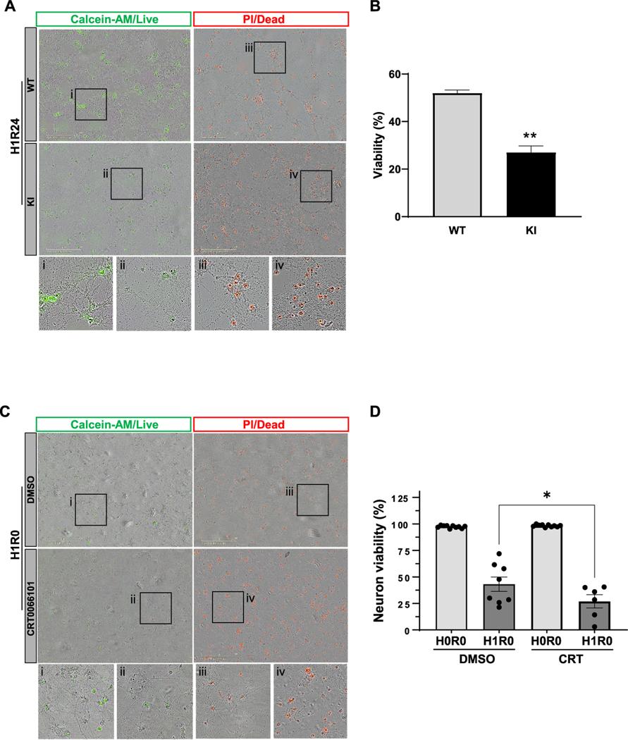 https://cdn.ncbi.nlm.nih.gov/pmc/blobs/1490/10836334/1edc4751b579/nihms-1939438-f0005.jpg