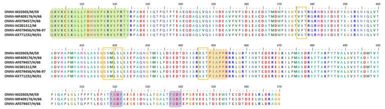 https://cdn.ncbi.nlm.nih.gov/pmc/blobs/1495/8228767/3f16b26498e0/viruses-13-01021-g008.jpg