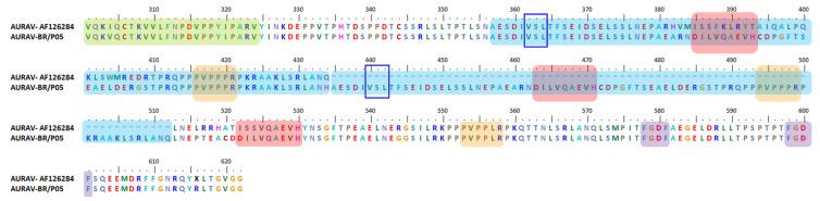 https://cdn.ncbi.nlm.nih.gov/pmc/blobs/1495/8228767/83e60bbf1a0a/viruses-13-01021-g003.jpg