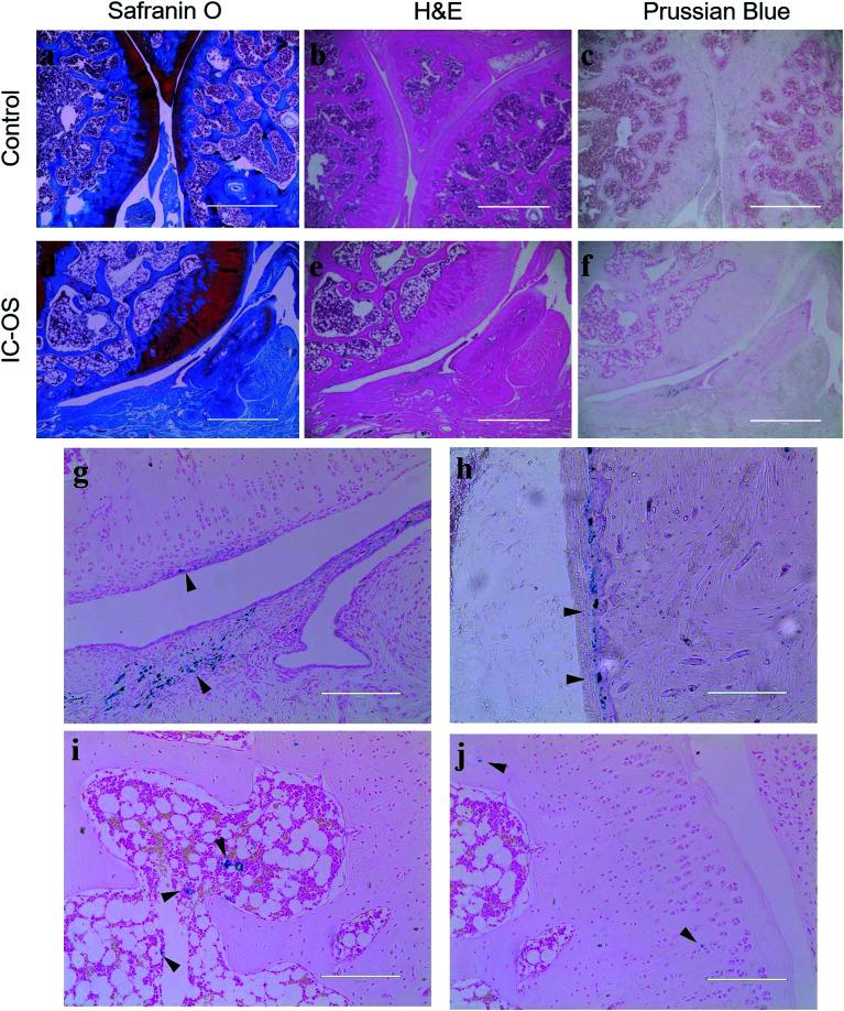 https://cdn.ncbi.nlm.nih.gov/pmc/blobs/1499/9063530/3746350aabf9/c8ra09570a-f6.jpg