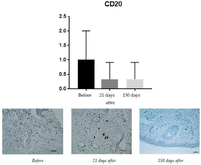 https://cdn.ncbi.nlm.nih.gov/pmc/blobs/149a/9697715/4de92743eca7/pharmaceuticals-15-01355-g003.jpg