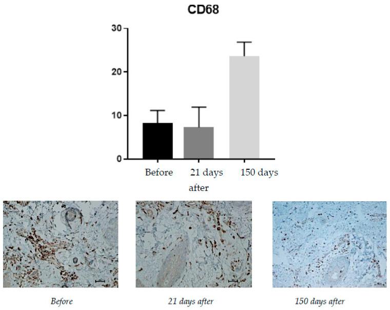https://cdn.ncbi.nlm.nih.gov/pmc/blobs/149a/9697715/ce42e06ddd7a/pharmaceuticals-15-01355-g002.jpg