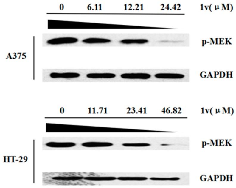 https://cdn.ncbi.nlm.nih.gov/pmc/blobs/149b/6153936/6535be10f9a3/molecules-22-00542-g005.jpg