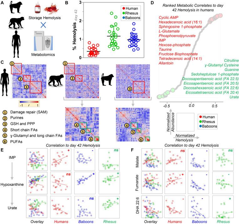 https://cdn.ncbi.nlm.nih.gov/pmc/blobs/149b/7645159/0c8c52db5e76/fphys-11-593841-g007.jpg