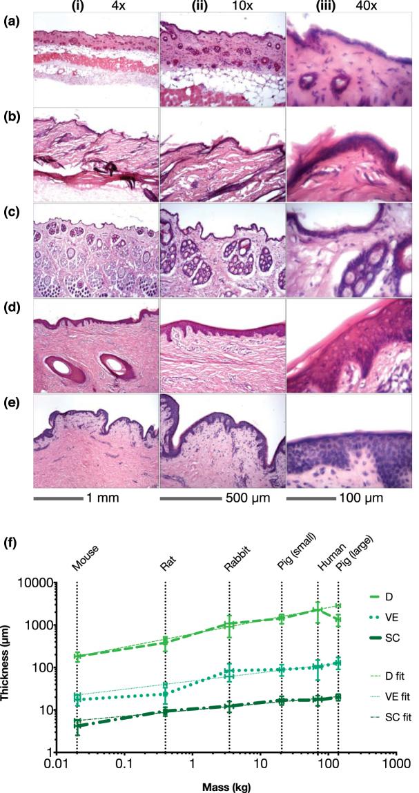 https://cdn.ncbi.nlm.nih.gov/pmc/blobs/149c/5698453/72ab1f396213/41598_2017_15830_Fig1_HTML.jpg