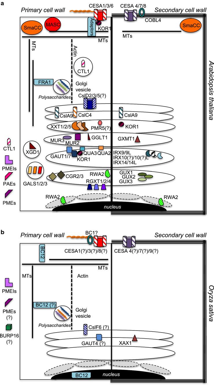 https://cdn.ncbi.nlm.nih.gov/pmc/blobs/149e/11104852/3c7e80092219/18_2019_3388_Fig1_HTML.jpg