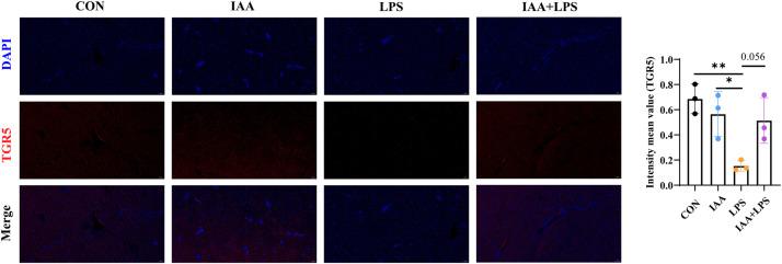 https://cdn.ncbi.nlm.nih.gov/pmc/blobs/149e/12166871/6fadc7030375/gr6.jpg