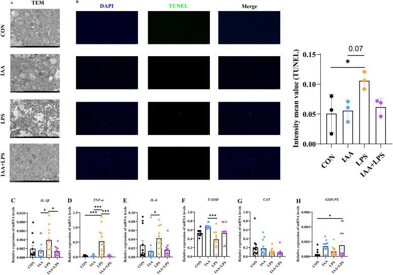 https://cdn.ncbi.nlm.nih.gov/pmc/blobs/149e/12166871/985542e7ca73/gr5.jpg