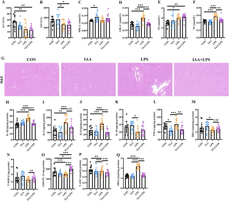 https://cdn.ncbi.nlm.nih.gov/pmc/blobs/149e/12166871/d606bbc8b8bb/gr2.jpg