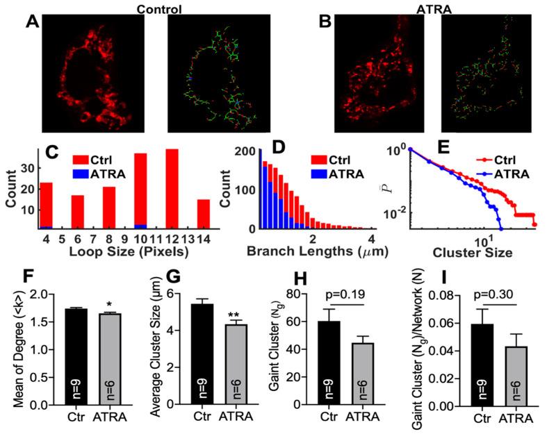 https://cdn.ncbi.nlm.nih.gov/pmc/blobs/149e/8156392/618a3b573690/cells-10-01202-g005.jpg
