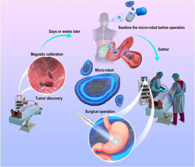 https://cdn.ncbi.nlm.nih.gov/pmc/blobs/149f/11986207/bba6fc960270/cbsystems.0212.fig.001.jpg