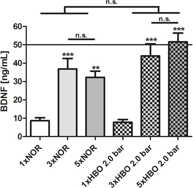 https://cdn.ncbi.nlm.nih.gov/pmc/blobs/14a1/5441643/ebdf3bf48b64/pone.0178182.g003.jpg