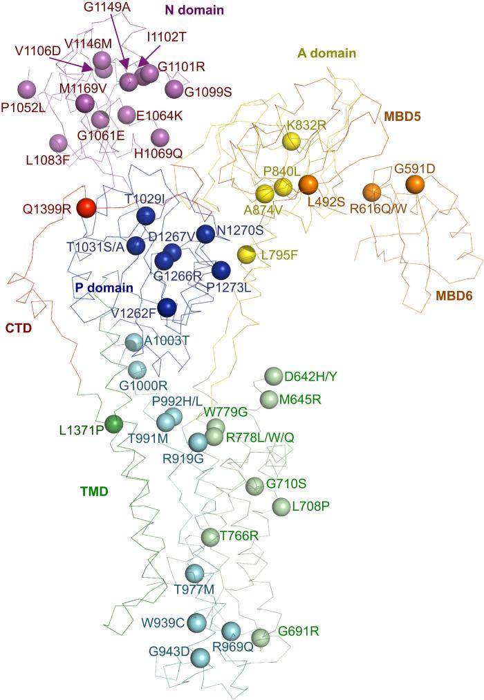 https://cdn.ncbi.nlm.nih.gov/pmc/blobs/14a1/8896786/2860d9047c88/sciadv.abl5508-f4.jpg