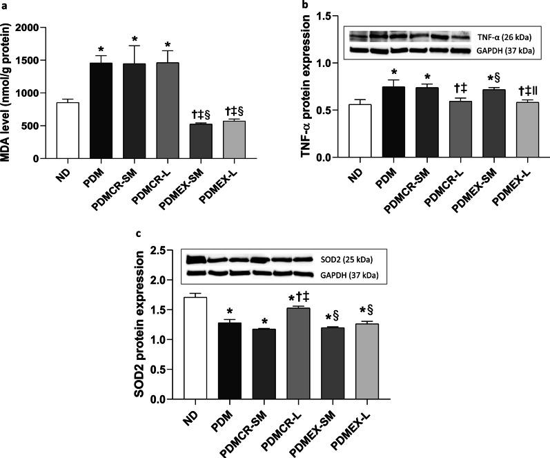 https://cdn.ncbi.nlm.nih.gov/pmc/blobs/14a1/8908596/1a153a344534/10020_2022_458_Fig8_HTML.jpg