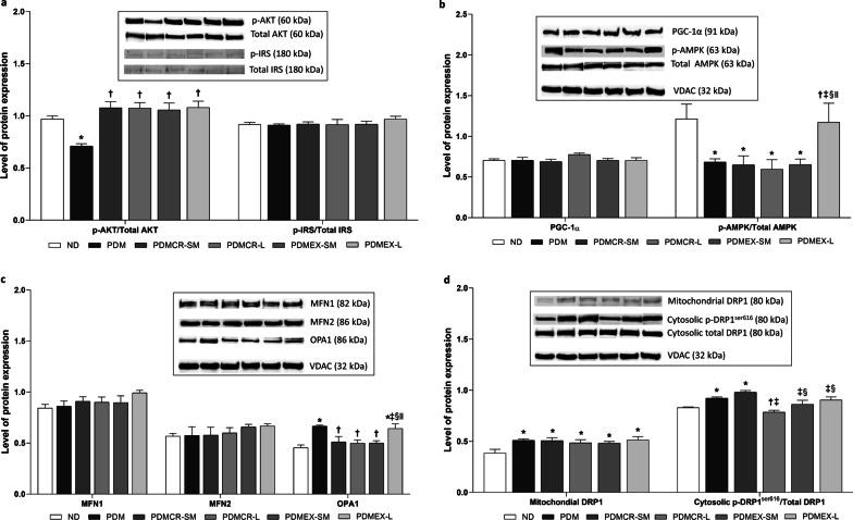 https://cdn.ncbi.nlm.nih.gov/pmc/blobs/14a1/8908596/219454c37067/10020_2022_458_Fig6_HTML.jpg