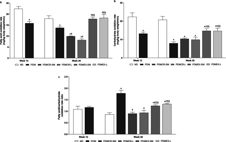 https://cdn.ncbi.nlm.nih.gov/pmc/blobs/14a1/8908596/3c29661dc90a/10020_2022_458_Fig3_HTML.jpg
