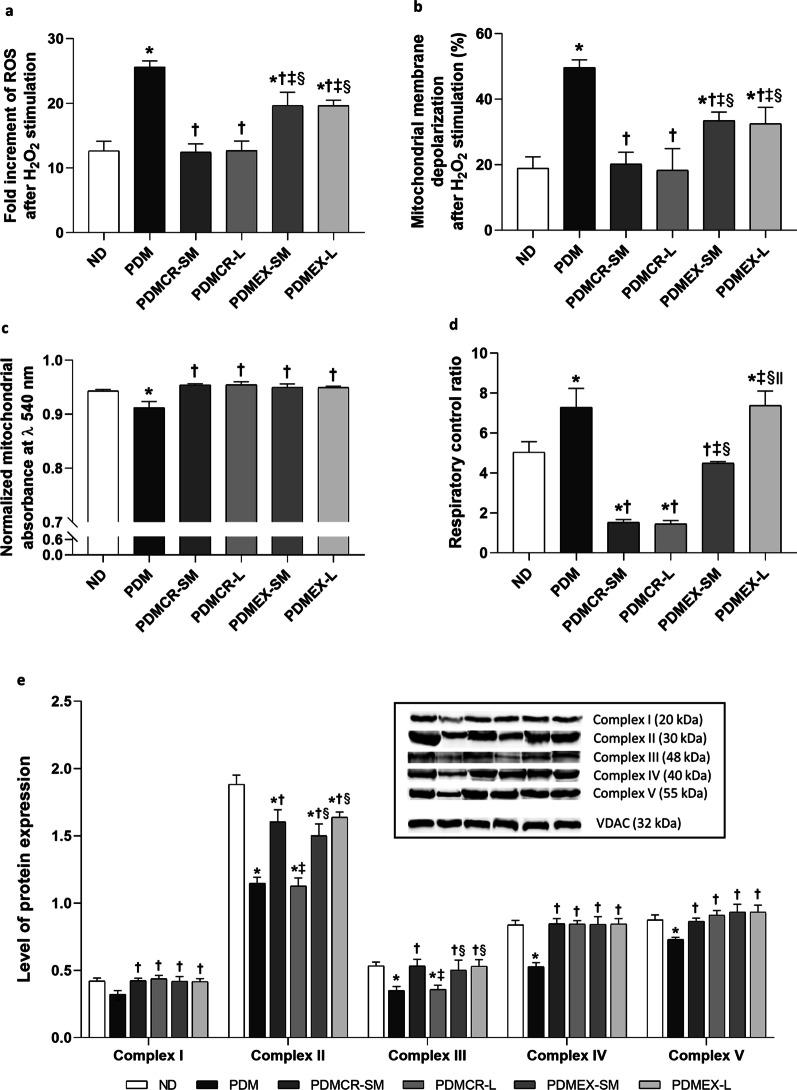 https://cdn.ncbi.nlm.nih.gov/pmc/blobs/14a1/8908596/80a82cd71055/10020_2022_458_Fig5_HTML.jpg