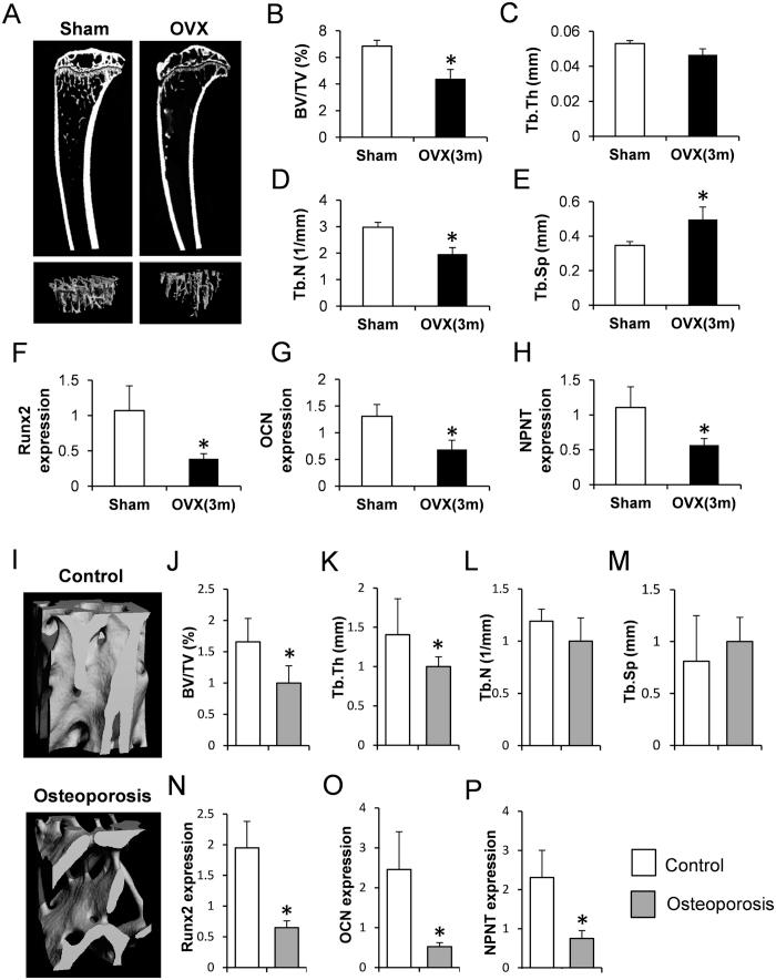 https://cdn.ncbi.nlm.nih.gov/pmc/blobs/14a5/5080588/ecf1b2cd68e8/srep36210-f2.jpg