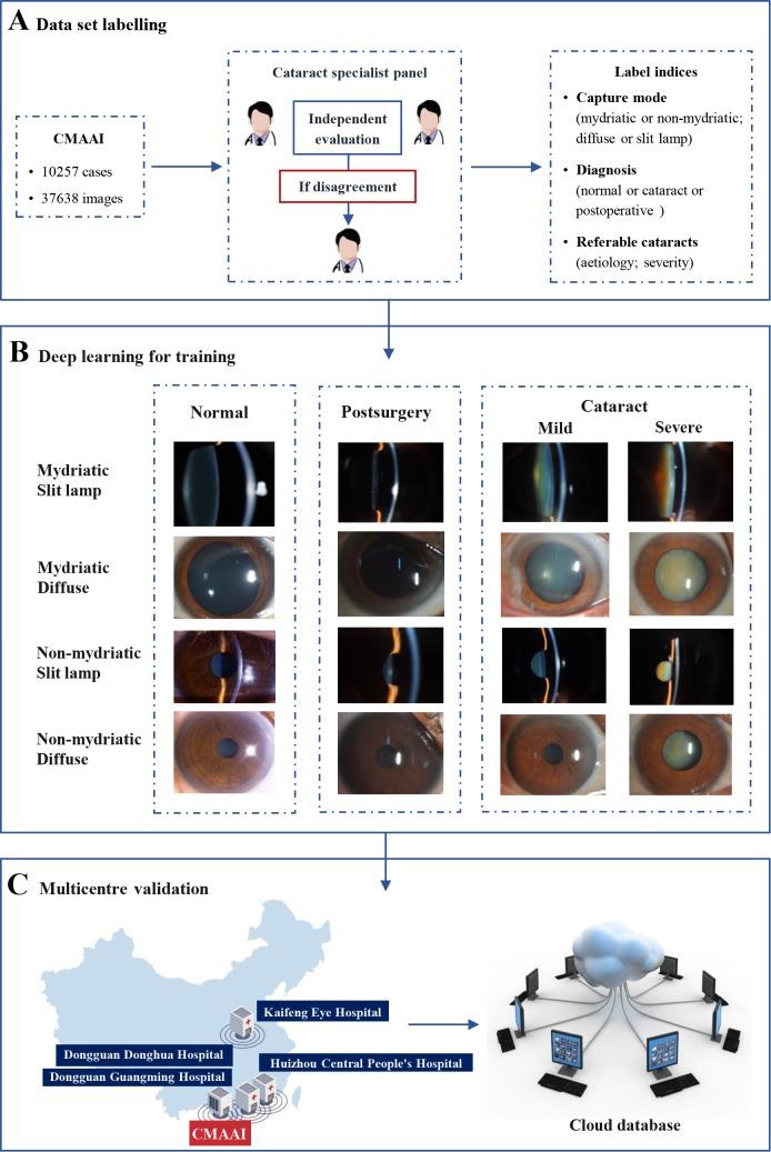 https://cdn.ncbi.nlm.nih.gov/pmc/blobs/14a6/6855787/2d90e8c3cd1f/bjophthalmol-2019-314729f01.jpg